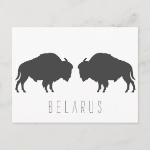 Belarus Vitryska Bison Зубр Беларусь Resa Vykort