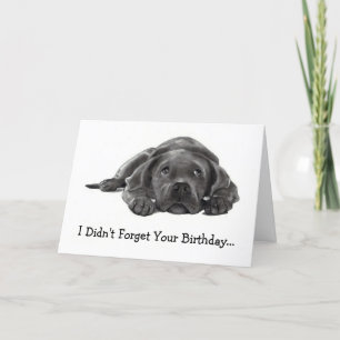 BELASTAD BIRTHDAY: GLÖMT INTE: FÖR LAZY, HUND KORT