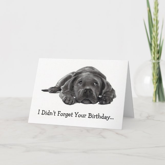 BELASTAD BIRTHDAY: GLÖMT INTE: FÖR LAZY, HUND KORT (Framsida)