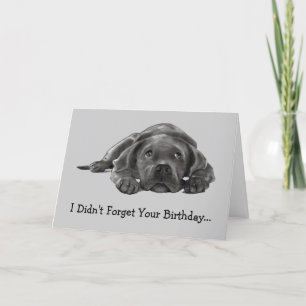 BELASTAD BIRTHDAY: GLÖMT INTE: FÖR LAZY, HUND KORT