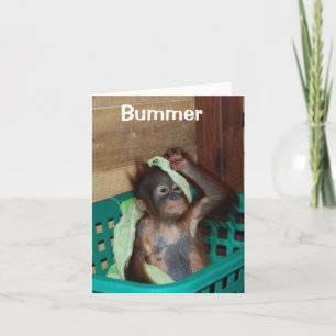 Belated Grattis på födelsedagen, jag är ledsen Kort