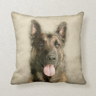 Belgare Malinois - belgisk herde - Maligator Kudde