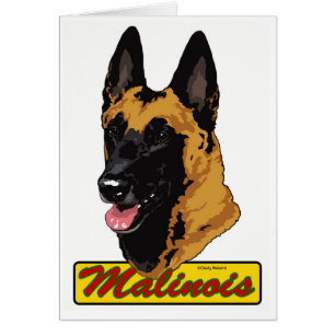 Belgare Malinois Hälsningskort