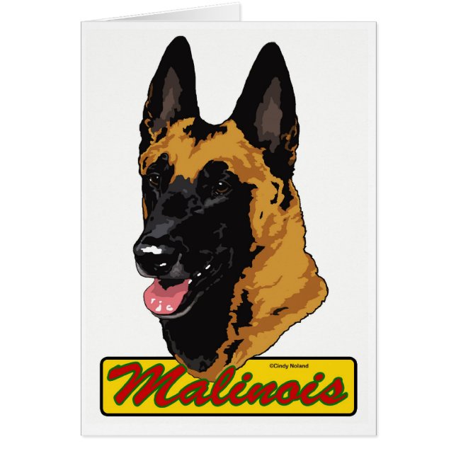 Belgare Malinois Hälsningskort (Framsidan)