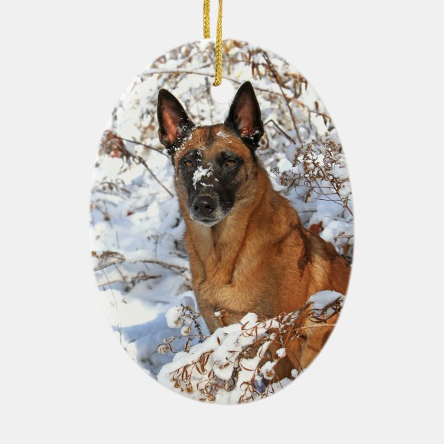 Belgare Malinois i snöprydnad Julgransprydnad Keramik (Baksidan)