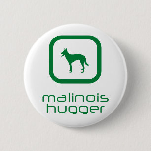 Belgare Malinois Knapp