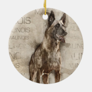 Belgare Malinois - Mechelaar - Maligator Julgransprydnad Keramik
