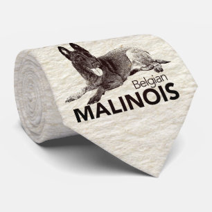 Belgare Malinois - Mechelaar - Maligator Slips