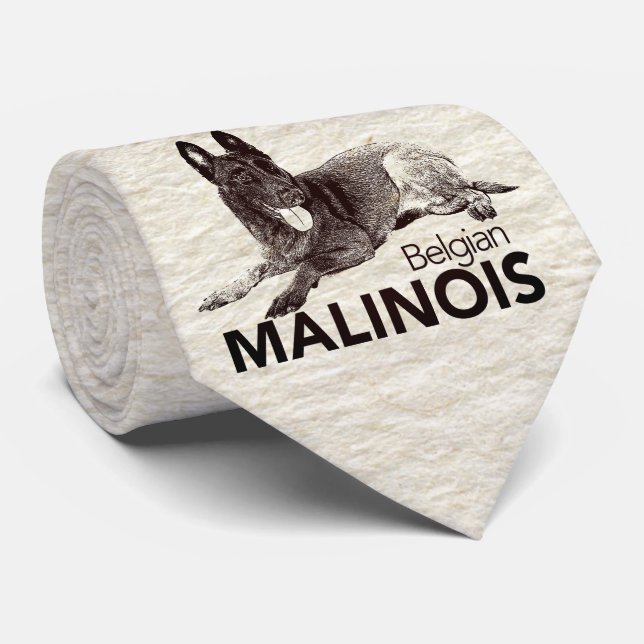 Belgare Malinois - Mechelaar - Maligator Slips (Rullad)