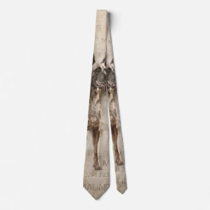 Belgare Malinois - Mechelaar - Maligator Slips