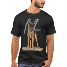 Belgare Malinois med det grafiska avelnamn