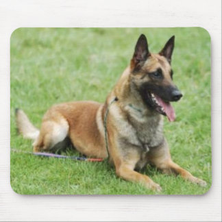 Belgare Malinois Mousepad Musmatta