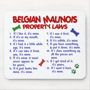 BELGARE MALINOIS PL2 MUSMATTA