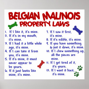 BELGARE MALINOIS PL2 POSTER