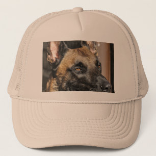 belgare malinois.png keps