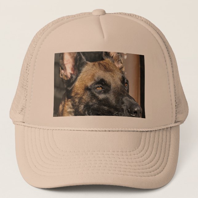 belgare malinois.png keps (Framsida)