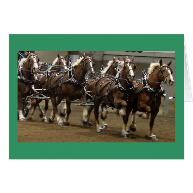 Belgarekort Hälsningskort (Framsidan Horizontal)