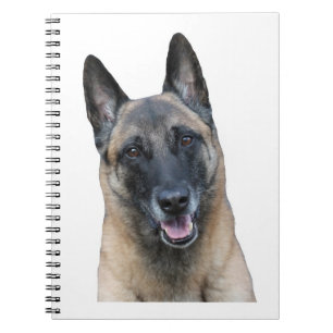 BelgareMalinois anteckningsbok