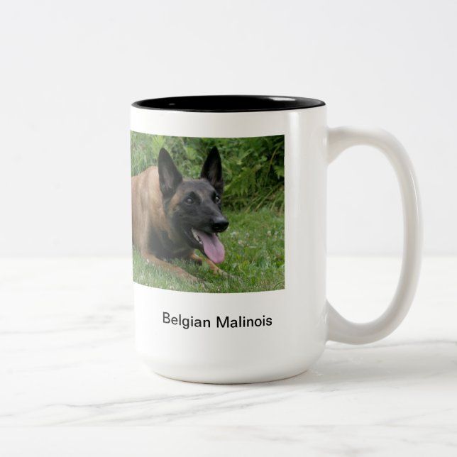 BelgareMalinois mugg (Höger)
