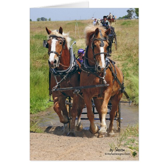 Belgaren formulerar hästar hälsningskort (Framsidan)