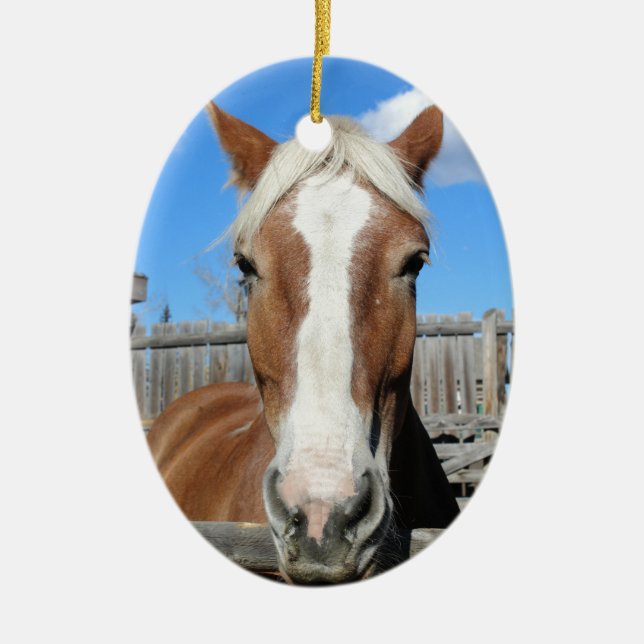 Belgaren formulerar hästen julgransprydnad keramik (Framsidan)