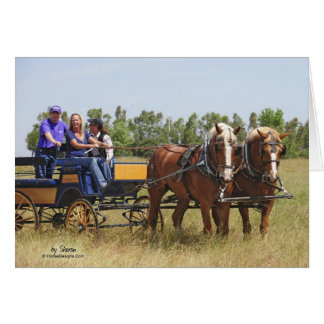 Belgaren formulerar hästvagn hälsningskort