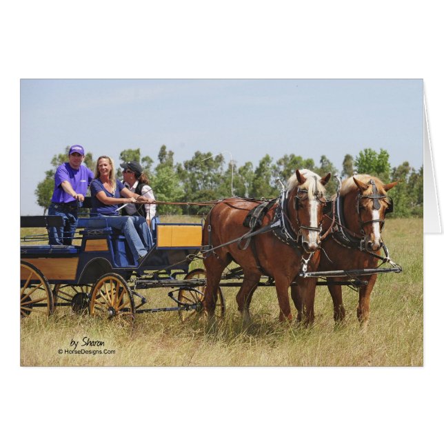 Belgaren formulerar hästvagn hälsningskort (Framsidan Horizontal)