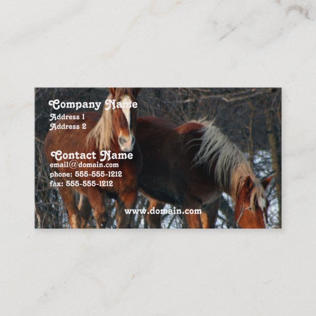 Belgaren formulerar hästvisitkorten visitkort (Framsida)