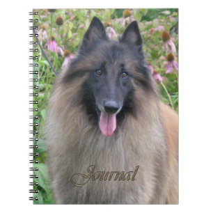 BelgareTervuren journal Anteckningsbok
