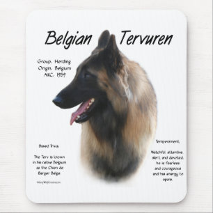 BelgareTervuren Meet aveln Musmatta