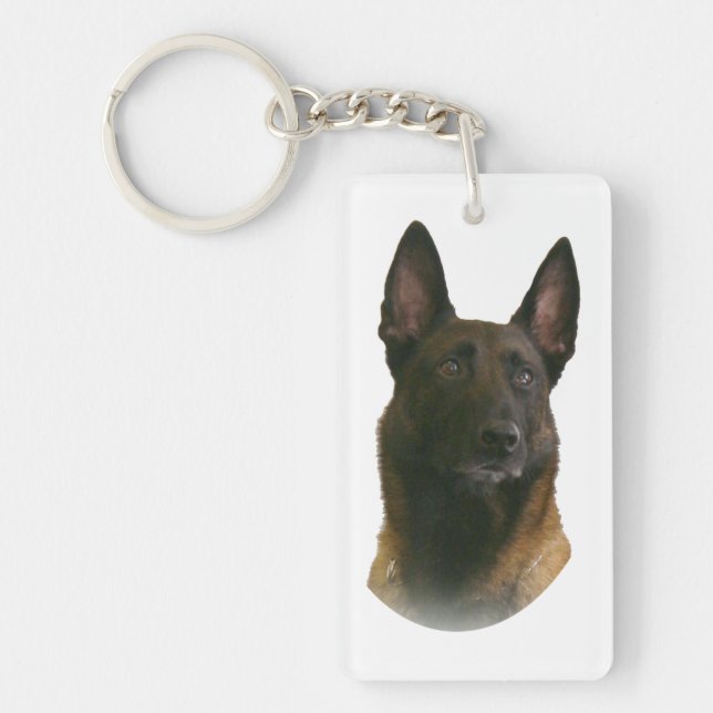belgian malinois (Framsidan)