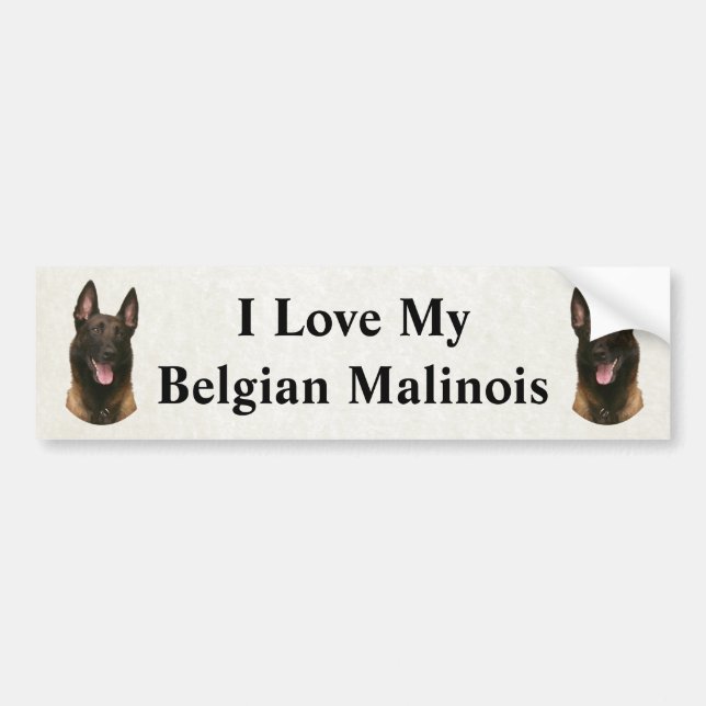 belgian malinois bildekal (Framsidan)