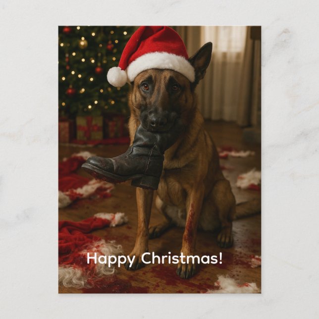 Belgian Malinois Eaten Santa Christmas postcard Helg Vykort (Framsida)