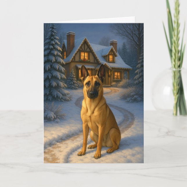 Belgian  Malinois Holiday Card Helgkort (Framsida)