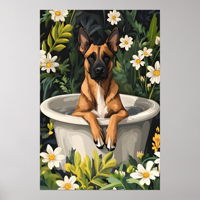 Belgian Malinois In Bathtub Poster, Funny Dog Poster (Framsidan)