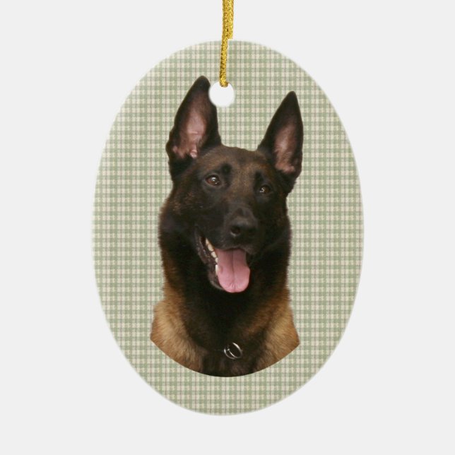 belgian malinois julgransprydnad keramik (Framsidan)