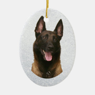 belgian malinois julgransprydnad keramik