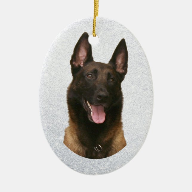 belgian malinois julgransprydnad keramik (Framsidan)