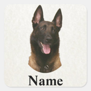 belgian malinois namn fyrkantigt klistermärke
