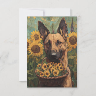 Belgian Malinois with a Basket of Sunflowers Tack Kort