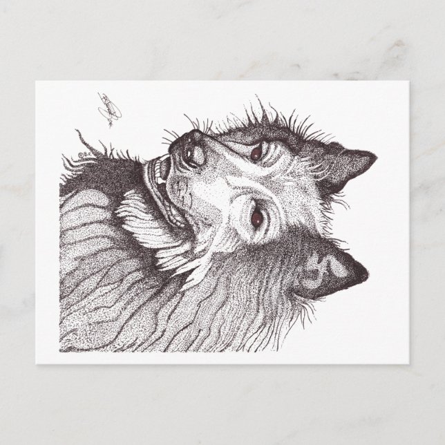 BELGIAN SHEPHERD GROENENDAEL VYKORT (Framsida)