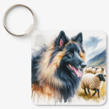 Belgian Tervuren