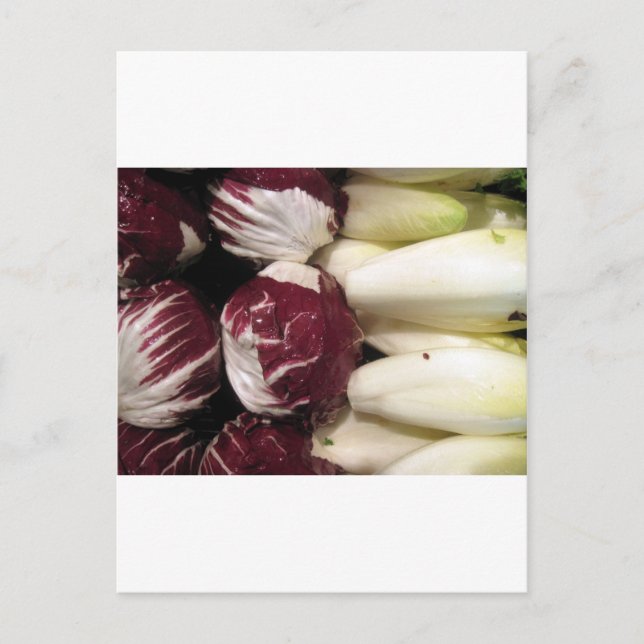 Belgien Endigo Vykort (Framsida)