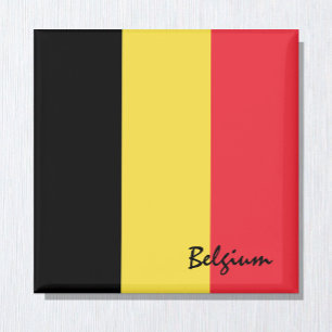 Belgien flagga och helgdag/sportfantaster i Brysse Magnet