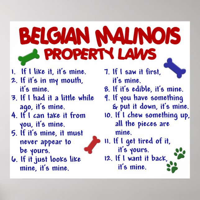 BELGIEN MALINOIS PL2 POSTER (Framsidan)