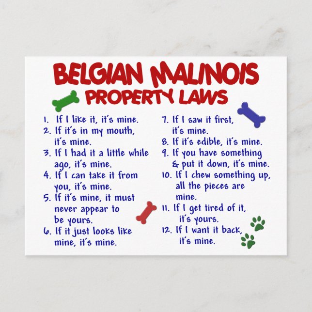 BELGIEN MALINOIS PL2 VYKORT (Framsida)