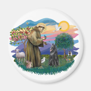 belgisk fårhund magnet