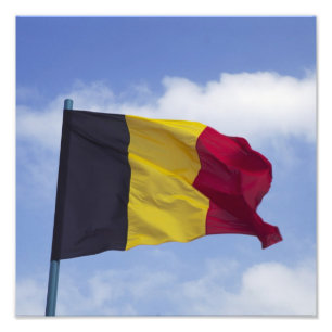 Belgisk flagga RF) Fototryck