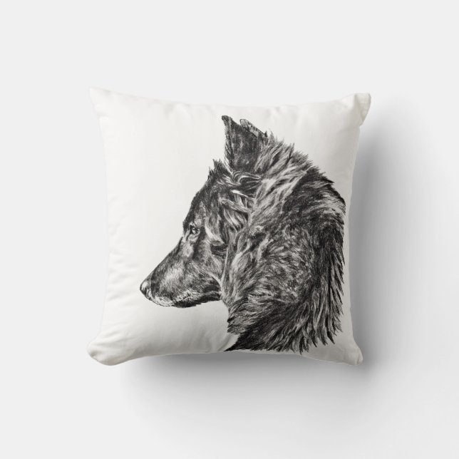belgisk groenendaelhund kudde (Framsida)