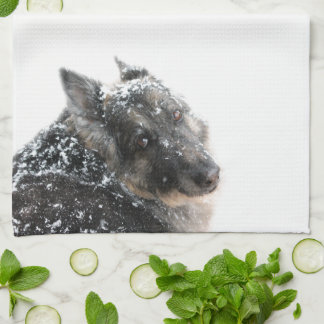 Belgisk herde i snö kökshandduk